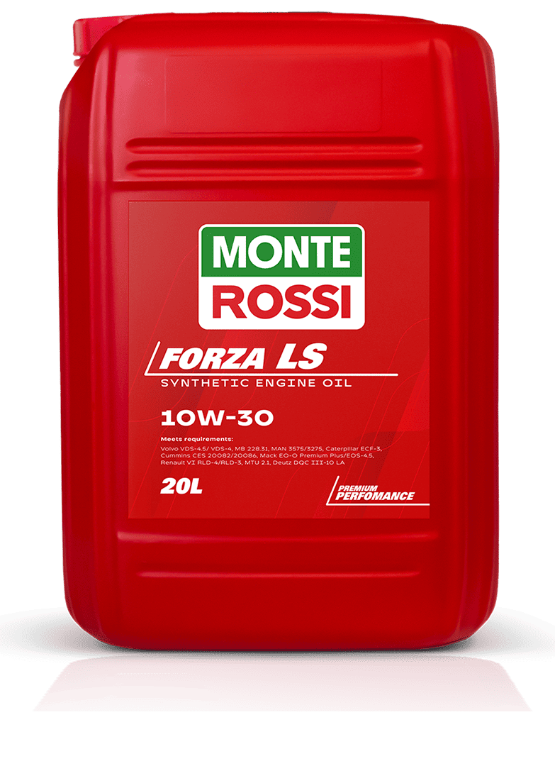 FORZA LS 10W-30