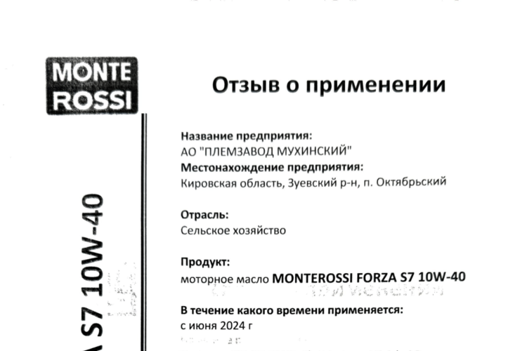 Превью. Отзыв о продукте MONTEROSSI FORZA S7 10W-40